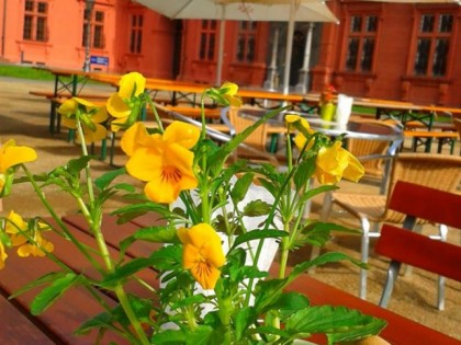 Foto: Schlossbiergarten im Kurf&amp;uuml;rstlichen Schloss Mainz